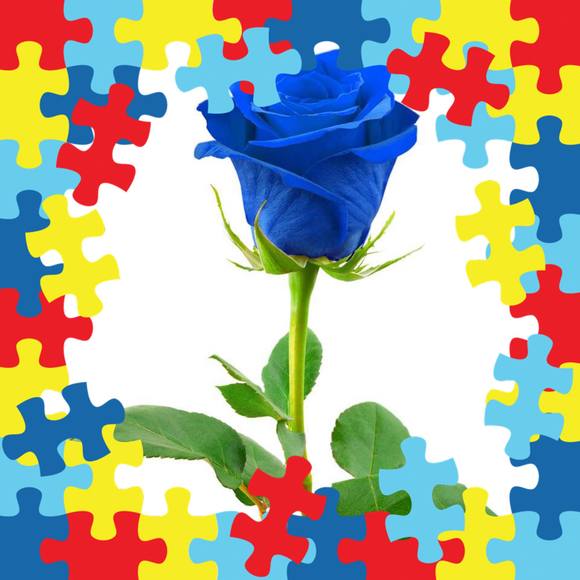 Meet your Posher, Dora - Picture 1 of 1